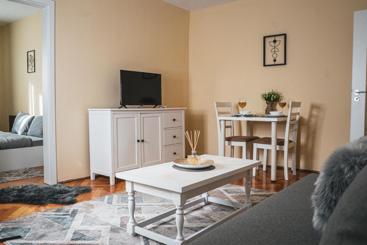 Central And Modern Apartment With Free Parking 蒂米什瓦拉 外观 照片