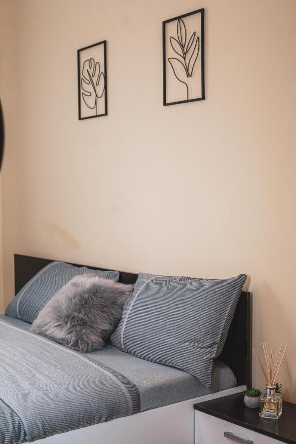 Central And Modern Apartment With Free Parking 蒂米什瓦拉 外观 照片