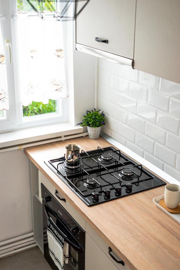 Central And Modern Apartment With Free Parking 蒂米什瓦拉 外观 照片