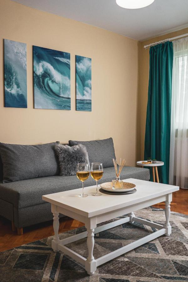 Central And Modern Apartment With Free Parking 蒂米什瓦拉 外观 照片