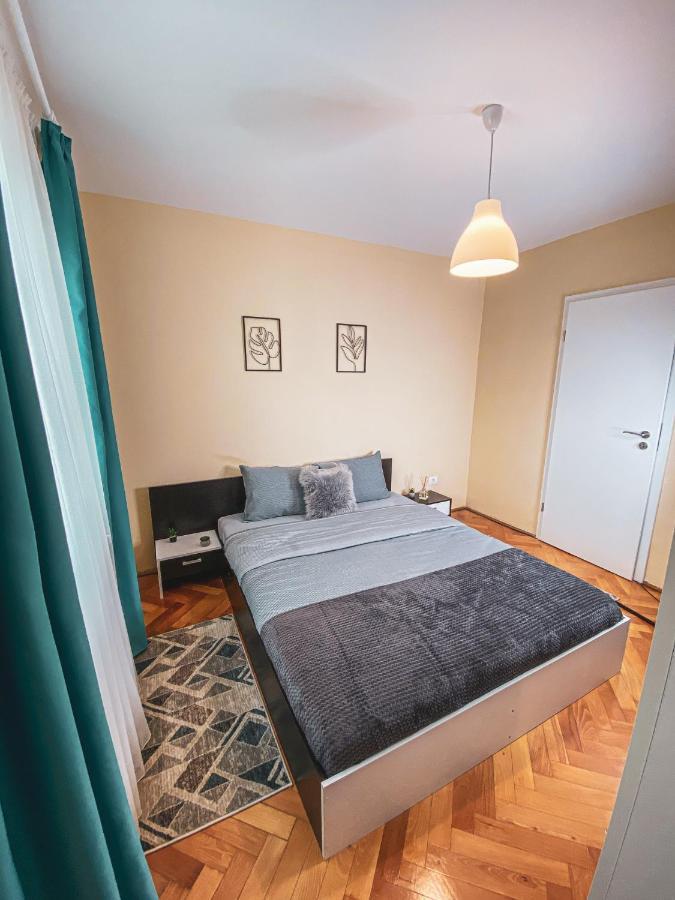 Central And Modern Apartment With Free Parking 蒂米什瓦拉 外观 照片